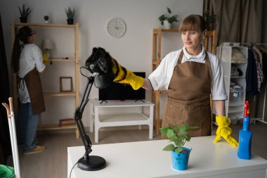 Temizlik hizmeti ve temizlik konsepti. Evde çalışan profesyonel temizlikçi kadın ekibi. Hizmetçi, masa lambasını toz beziyle siliyor. Boşluğu kopyala