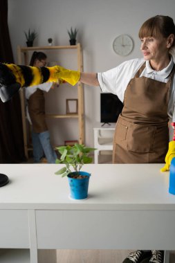Temizlik hizmeti ve temizlik konsepti. Evde çalışan profesyonel temizlikçi kadın ekibi. Hizmetçi, masa lambasını toz beziyle siliyor. Boşluğu kopyala
