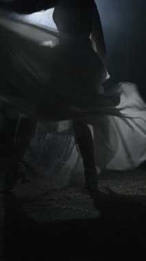 Siluet dansçısı kadın siste dans ediyor. Dalgalı elbiseler içinde zarif danslar duman içinde nokta ışığı altında. Dikey video