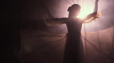 Genç bir kadın ay ışığı altında karanlık ormanda mistik bir dans yapıyor. Uzun ve sade bir elbise giyiyor. Zarif bir hareket, duygusal bir varlık, doğal güzellik ve büyülü bir gece atmosferi gösteriyor.