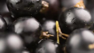 Siyah frenk üzümü. Vitamin arka planı olarak siyah üzümlü üzümler. Yakın plan.