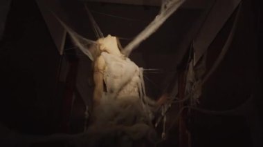 Cadılar Bayramı 'nda zombi makyajı yapılmış korkunç ölü gelin koridorda örümcek ağı takıyor. Voodoo ayinleri. Boşluğu kopyala
