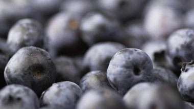 Daire şeklinde dönen taze yaban mersinlerini kapatın. Sağlıklı ve vejetaryen gıda konsepti