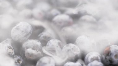 Dondurma işlemi sırasında taze olgun yaban mersinlerinin yakın plan görüntüsü, mevsimsel böğürtlen koruma kavramı, sağlıklı gıda, vitaminler, antioksidan zengini ve organik besin