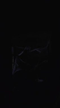 Zombi kadın, Cadılar Bayramı canavarını korkutmaya çalışıyor. Koridorda dikilen örümcek ağlı ölü gelin. Boşluğu kopyala