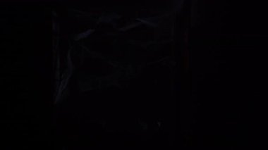 Korkunç cadılar bayramı zombi makyajlı kadın kasılmalar içinde surat yapıyor. Siyah örümcek ağı koridorunda yaralı yüzlü ölü gelin kız. Boşluğu kopyala