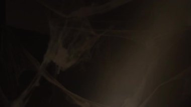 Kıyametten sonraki sahne. Hayatta kalan kişi karanlık koridorda elinde el feneriyle örümcek ağlarının içinden geçiyor ve korkunç zombi gelinine ışık tutuyor. Cadılar Bayramı korku konsepti. Canavar, ölüm, korku, kabus.