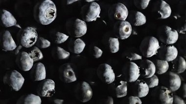 Sağlıklı ve vejetaryen gıda konsepti. Yaban mersinleri hareket halinde, yakın plan. Böğürtlen arka planı. Üst görünüm