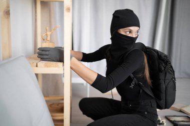 Hırsız, hırsız ya da hırsız evlerini yıkar. Siyah kar maskesi takan bir kadın bir şeyler çalıyor evde ya da dairede para arıyor. Hırsızlık, hırsızlık ve soygun suçu kavramı