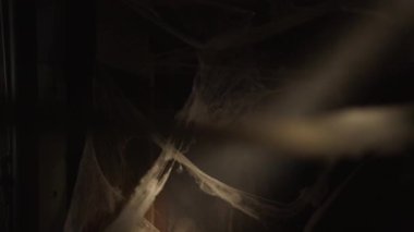 Zombi hayaletli korku filmi sahnesi. Önünde ağ ve zombi kadınla koridorda yürüyen el fenerli bir kurtulan. Boşluğu kopyala