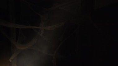 Geceleri zombi ya da hayalet kadınla dolu karanlık ve ürkütücü bir koridor. Boşluğu kopyala