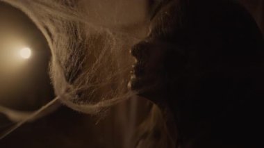 Geceleri örümcek ağındaki bir kadının zombi portresi. Cadılar Bayramı ve korku sahnesi konsepti