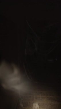 Karanlık koridorda elinde örümcek ağıyla yürüyen yüzü kıllı zombi kadın siluetiyle hayatta kalan biri. Korku sahnesi. Cadılar Bayramı kötülüğü. Dikey video