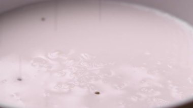 Chia pudingi hazırlama işlemi sırasında yoğun kremalı yoğurdun içine düşen chia tohumlarının makro yakın çekimi, sağlıklı kahvaltıda vejetaryen diyeti ve organik beslenme kavramı