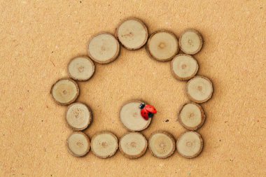 Geri dönüşümlü kağıtta ağaç dilimleri ve uğur böceğinden yapılmış ev