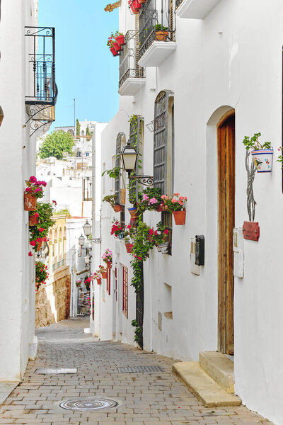 Picturesque whitewashed village in south of Spain. Mojacar, famous place of Almeria. Cute narrow street lead to ancient town, cute flowerpots hanging on houses walls. Travel destinations. Europe