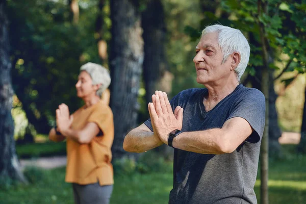 Older active couple do meditation practice with eyes closed pose in summer park folded arms makes mudra or Namaste sign, do yoga work out outdoors, healthy lifestyle on retirement, spirituality