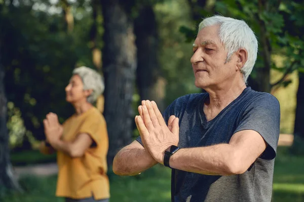 年上のアクティブなカップルは 夏の公園で目を閉じてポーズで瞑想練習を行う折り畳まれた腕は泥やナマステのサインを作ります ヨガは屋外で動作します 退職時の健康的なライフスタイル 精神性 — ストック写真