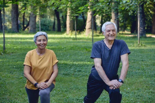 Kıdemli Eşler Sabah Yaz Parkında Spor Egzersizleri Yapıyorlar Yaşlı Çiftler — Stok fotoğraf