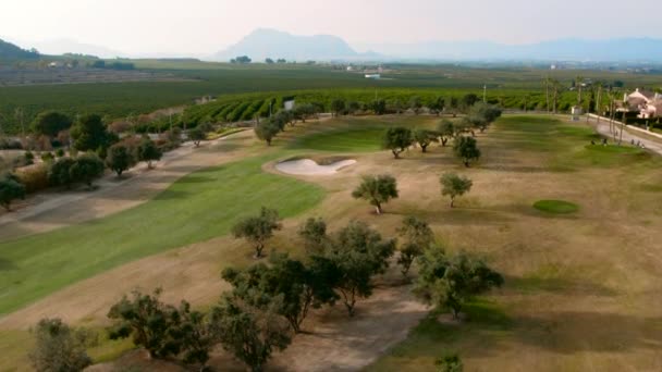 Typical Spanish Golf Fields Houses Green Lawns Palm Trees Lakes — Stock Video