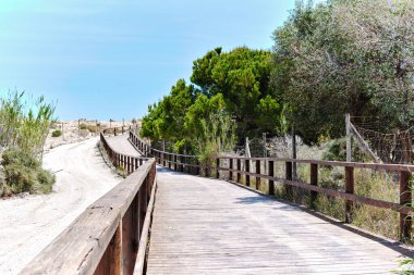 Tahta boş tahta yürüme, kum tepeciklerinden Akdeniz 'e ve kumlu plaja kadar gidiyor, insan yok. Costa Blanca, Avrupa, İspanya. Espana. Seyahat ve turizm kavramı