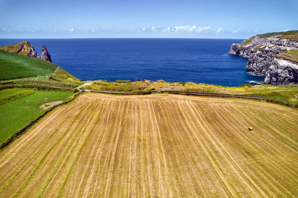 Saman Balyasıyla Ekilmiş Kıyı Arazilerinin Havadan Görünüşü Atlantik Okyanusu Azores — Stok fotoğraf