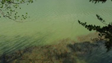 Lagoa das Sete Cidades 'in sakin yeşil suları ve yemyeşil orman tepeleri bulutlu bir gökyüzü altında.