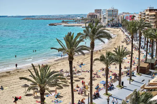 スペイン 3月14日 2024年 人々は上から眺めるプラヤ キュラのビーチで日光浴をする パームは春の晴れた暖かい日の間に遊歩道を並べました 旅行先について コスタ ブランカ ロイヤリティフリーのストック画像