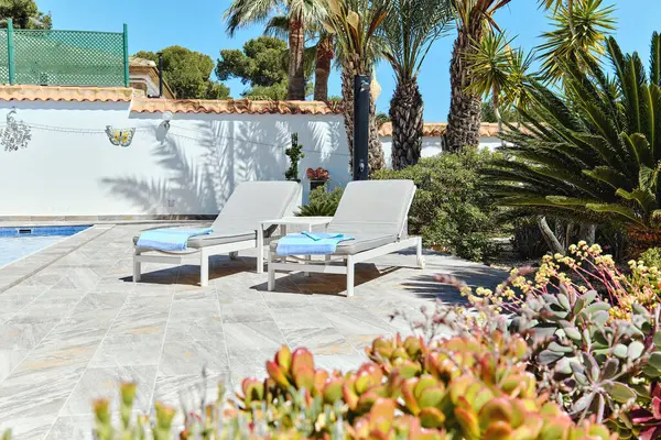 夏日阳光明媚 热带灌木丛和棕榈树背景上 有两张靠坡的躺椅 西班牙 旅行暑假概念 图库照片