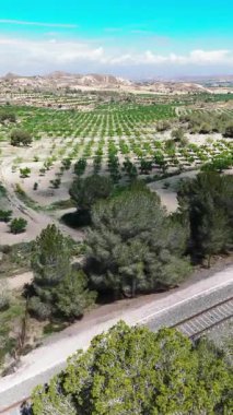 Dalgalı mavi gökyüzü altında, dikey çekimde zirai manzaranın havadan görünüşü. Orihuela, İspanya