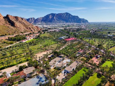 Palmeral de Orihuela 'nın ya da palmiye koruluğunun havadan görünüşü, kentsel yayılma ve berrak İspanyol gökyüzünün altındaki dağlık zemin altında yemyeşil bir vaha.
