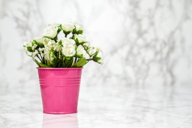 Pembe bir tencerede suni beyaz çiçekler, kopyalama alanı olan beyaz bilyeye karşı..