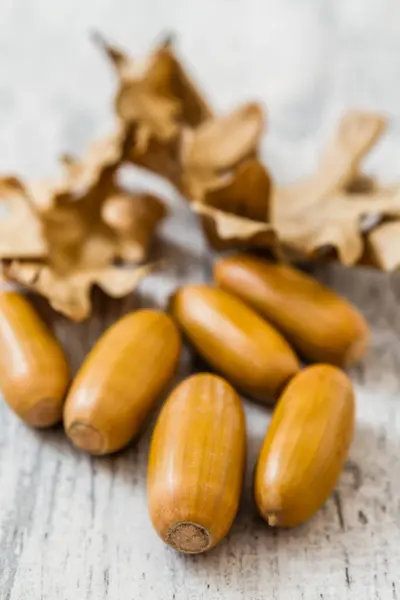 stock image Scattered acorns and leaves on a wooden surface, studio shot.