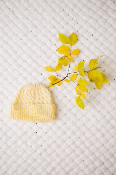 Chapéu Amarelo Tricotado Ramo Com Folhas Amarelas Cobertor Fofo Branco — Fotografia de Stock