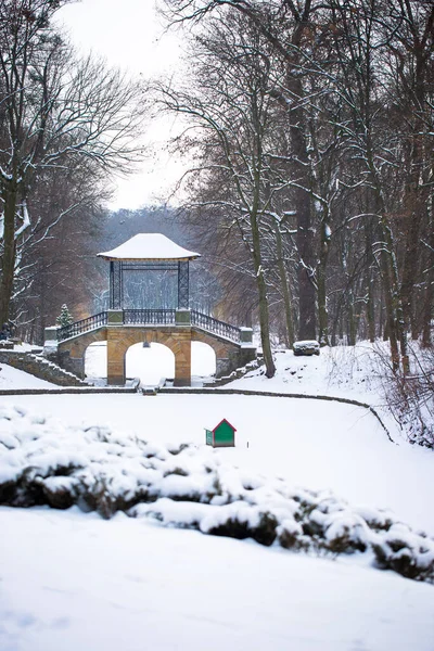雪で覆われた中国の橋やOleksandria公園の湖の冬の景色 ビラTserkva ウクライナ — ストック写真