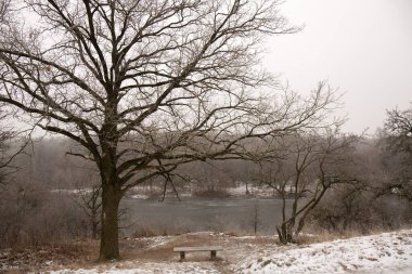 Dağda eski bir meşe ağacı ve kışın altında bir dinlenme yeri.