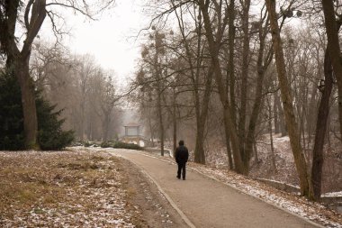 Bir adam kış parkında yol boyunca yürüyor.