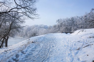 Parktaki ağaçlarda don olan karlı bir manzara.