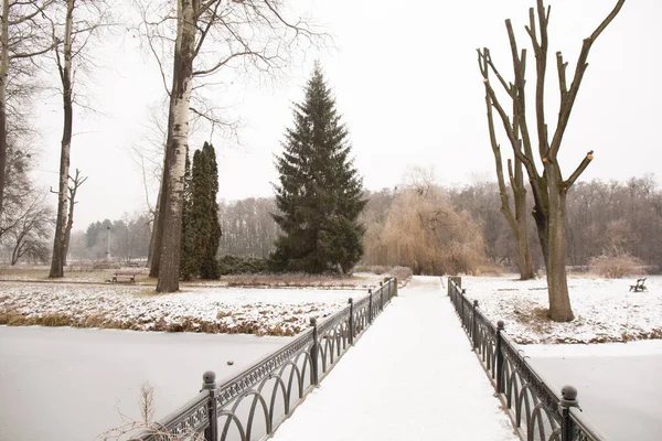 冬の公園の貯水池の上の装飾的な橋 — ストック写真
