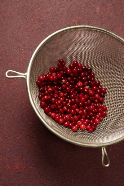 Świeże Soczyste Lingonberry Metalowym Sicie Burgundowym Tle — Zdjęcie stockowe