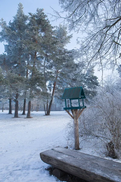 Зимний Снежный Пейзаж Морозом Деревьях Парке — стоковое фото