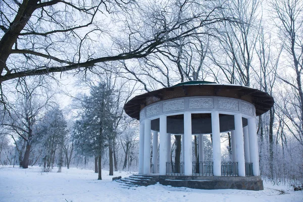 Ősi Pavilon Egy Fagyos Havas Parkban Télen — Stock Fotó