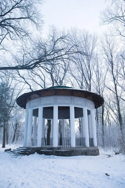 冬には凍てつく雪の公園にある古代の展望台 — ストック写真