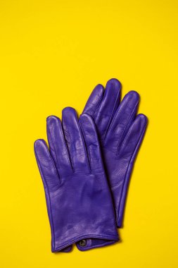 Parlak sarı arka planda mavi deri kadın eldivenleri.