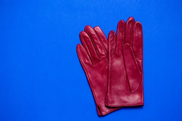 burgundy women\'s gloves made of soft genuine leather on a blue background