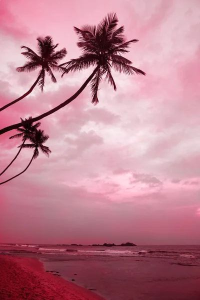 Pink dawn on the Indian Ocean coast