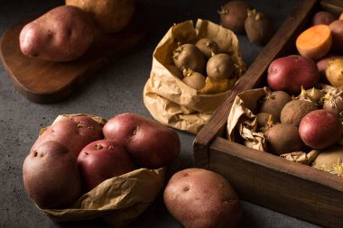 Various varieties of potatoes. Germination of sprouts on potatoes for planting in the ground