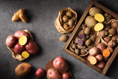 Various varieties of potatoes. Germination of sprouts on potatoes for planting in the ground