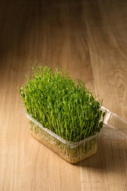 Sprouts of sprouted peas, microgreens in a box on a wooden table