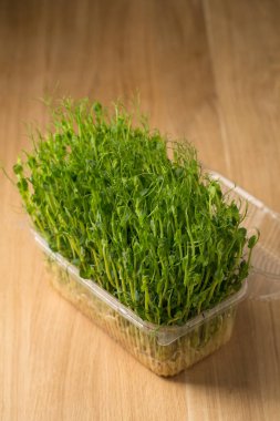 Sprouts of sprouted peas, microgreens in a box on a wooden table